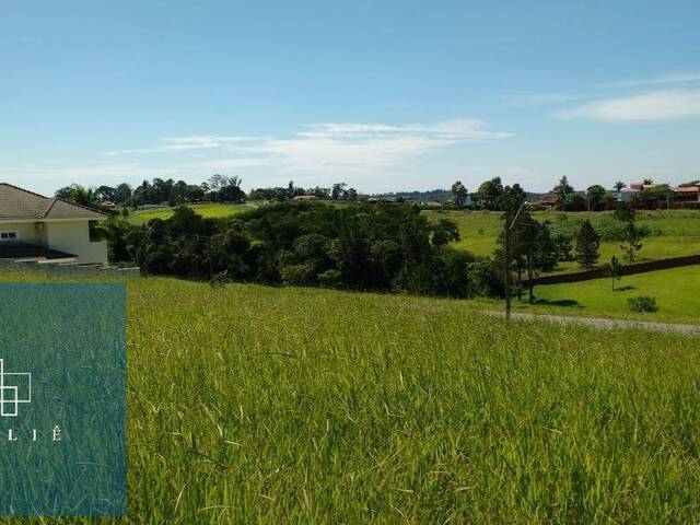 #10857 - Terreno para Venda em Araçoiaba da Serra - SP - 3